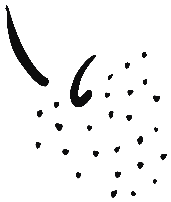 Image of the occurrence